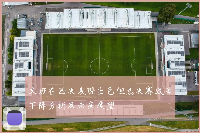 文班在西决表现出色但总决赛效率下降分析及未来展望